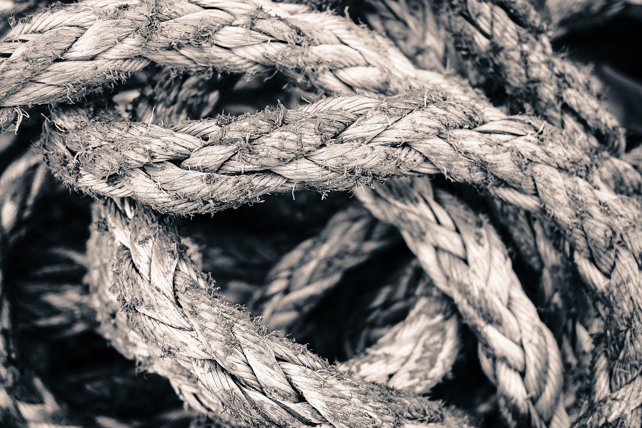  The Permission to Feel: Unlearning a Lifetime of "Being Strong" 