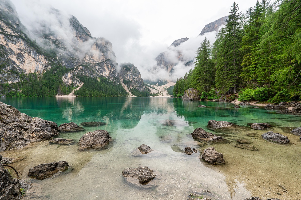 History 7: Alpes